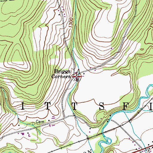 Topographic Map of Briggs Corners, NY