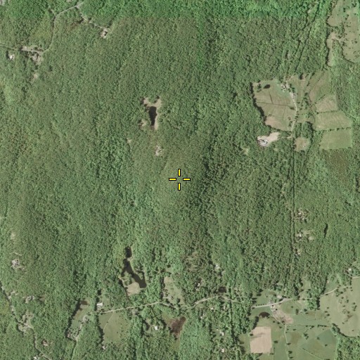 Aerial/Satellite Image of Briggs Mountain, NY