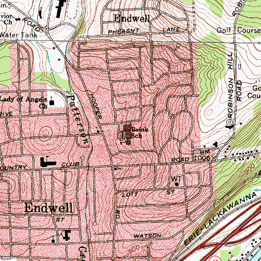 Topographic Map of Brink School, NY