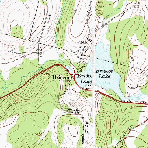 Topographic Map of Briscoe, NY