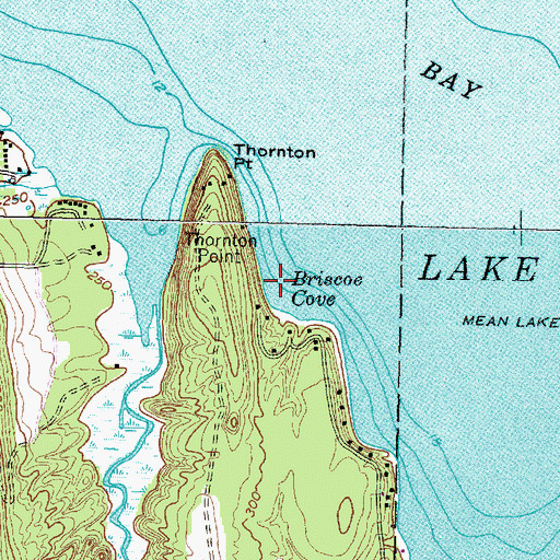 Topographic Map of Briscoe Cove, NY