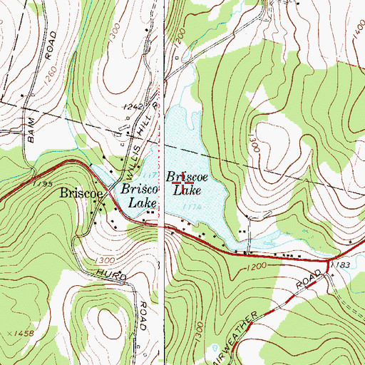 Topographic Map of Briscoe Lake, NY