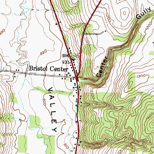 Topographic Map of Bristol Center, NY