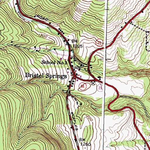 Topographic Map of Bristol Springs, NY