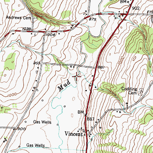 Topographic Map of Bristol Valley, NY