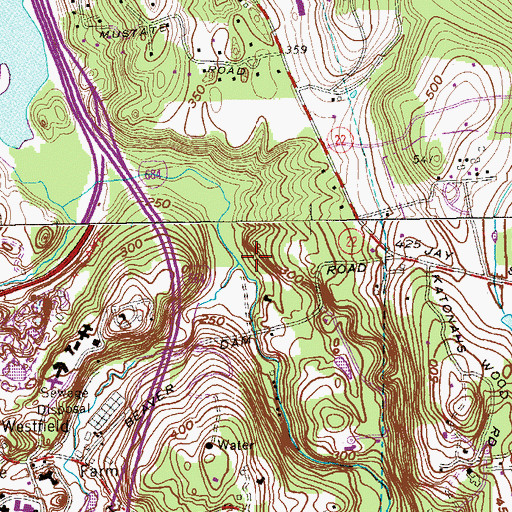 Topographic Map of Broad Brook, NY
