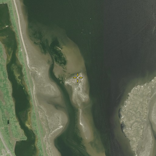 Aerial/Satellite Image of Broad Creek Marsh, NY