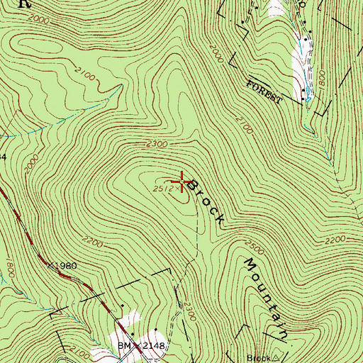 Topographic Map of Brock Mountain, NY