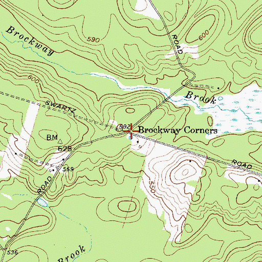 Topographic Map of Brockway Corners, NY