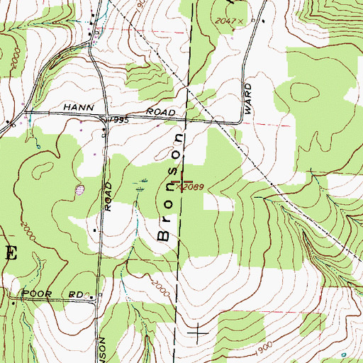 Topographic Map of Bronson Hill, NY