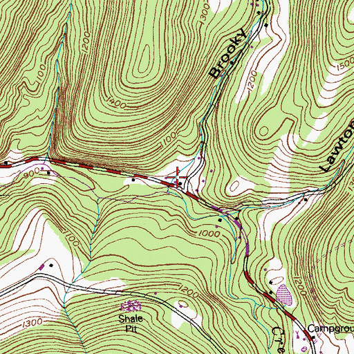 Topographic Map of Brookie Hollow, NY