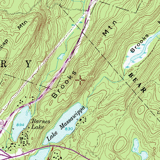 Topographic Map of Brooks Mountain, NY