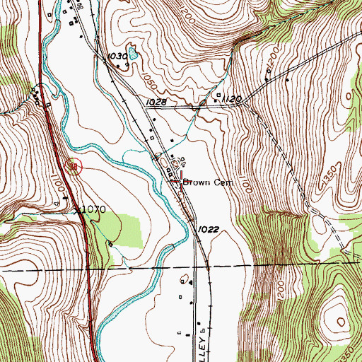 Topographic Map of Brown's Settlement Cemetery, NY