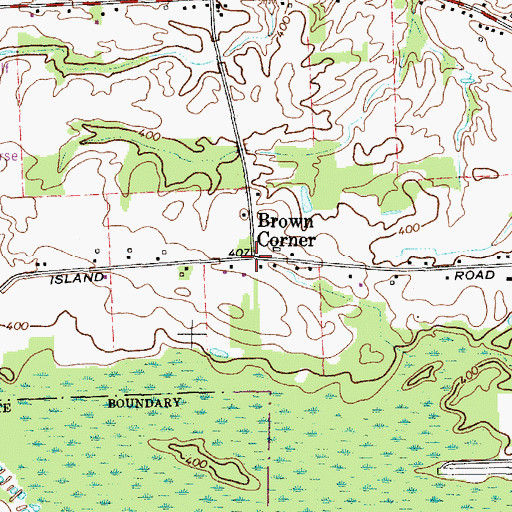 Topographic Map of Brown Center, NY