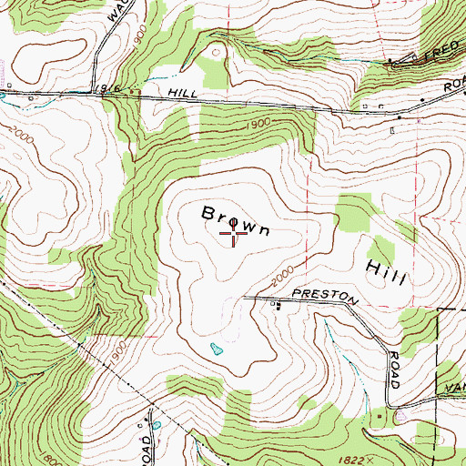 Topographic Map of Brown Hill, NY