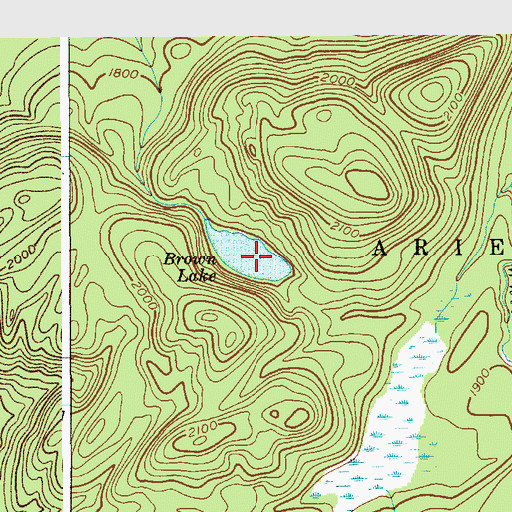 Topographic Map of Brown Lake, NY