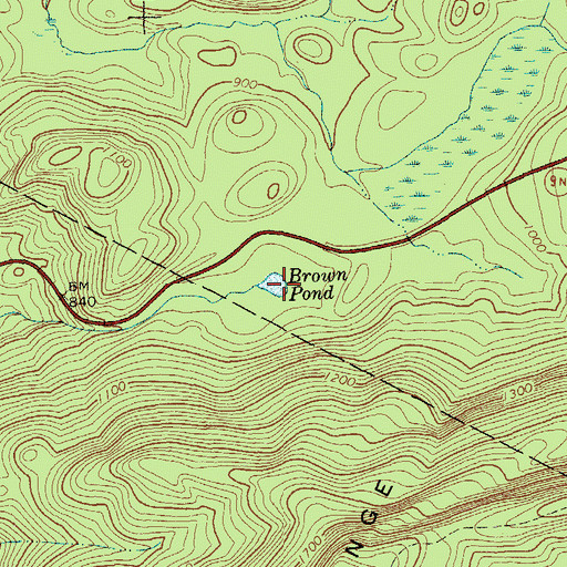 Topographic Map of Brown Pond, NY