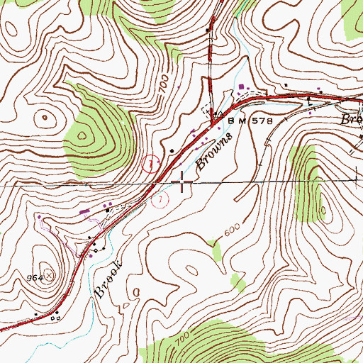 Topographic Map of Browns Brook, NY