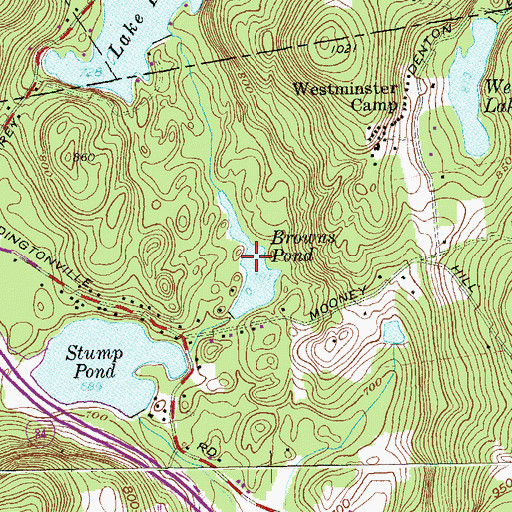 Topographic Map of Browns Pond, NY