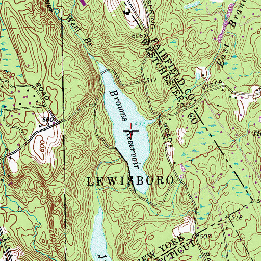 Topographic Map of Browns Reservoir, NY