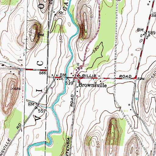 Topographic Map of Brownsville, NY