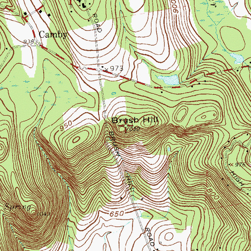 Topographic Map of Brush Hill, NY