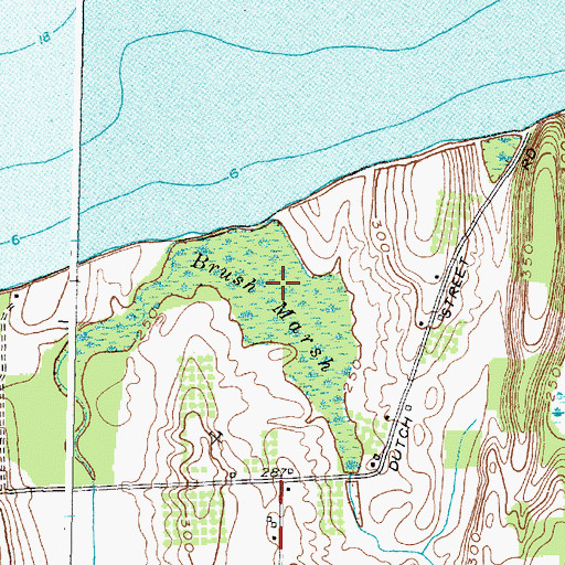 Topographic Map of Brush Marsh, NY