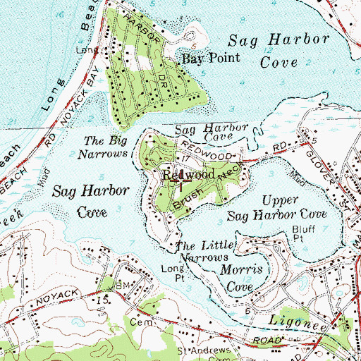 Topographic Map of Brush Neck, NY
