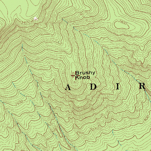 Topographic Map of Brushy Knob, NY