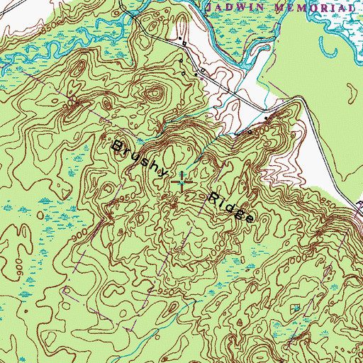 Topographic Map of Brushy Ridge, NY