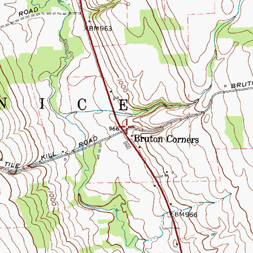 Topographic Map of Bruton Corners, NY