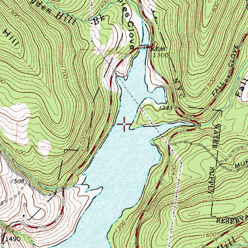 Topographic Map of Bryden Hill Brook, NY