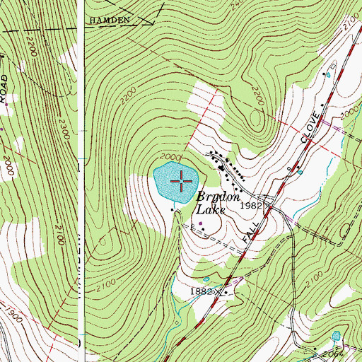 Topographic Map of Brydon Lake, NY