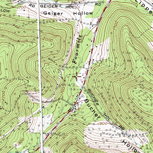 Topographic Map of Bucher Hollow, NY