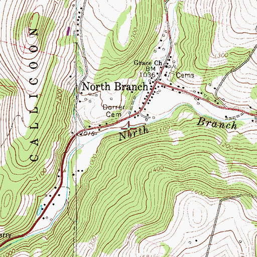 Topographic Map of Buck Brook, NY
