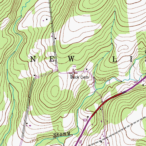 Topographic Map of Buck Cemetery, NY