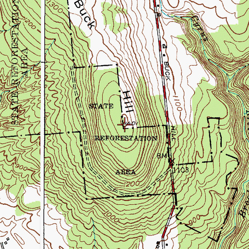 Topographic Map of Buck Hill, NY