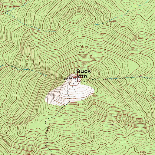Topographic Map of Buck Mountain, NY