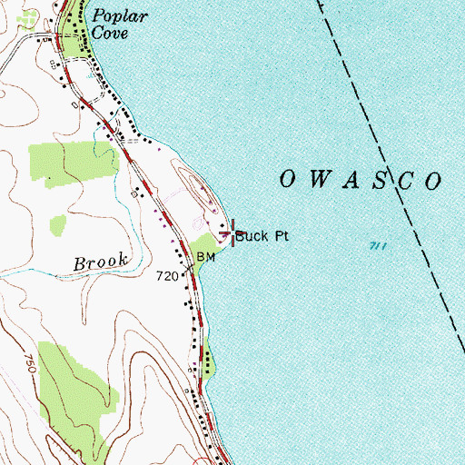 Topographic Map of Buck Point, NY