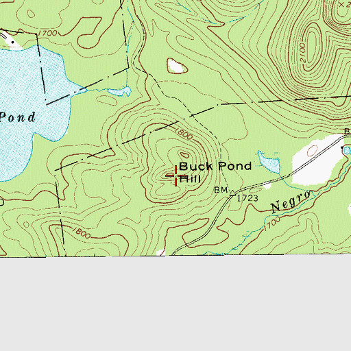 Topographic Map of Buck Pond Hill, NY