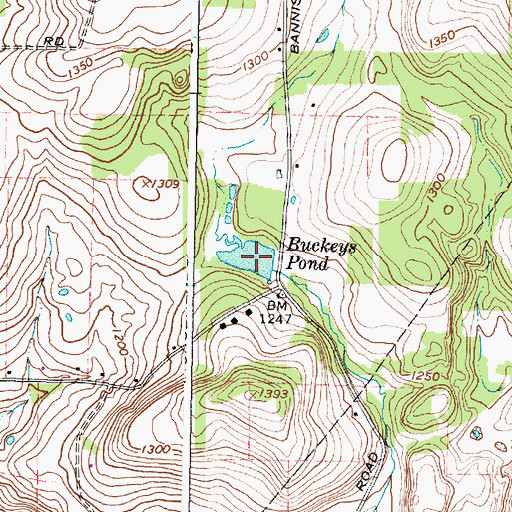 Topographic Map of Buckeys Pond, NY