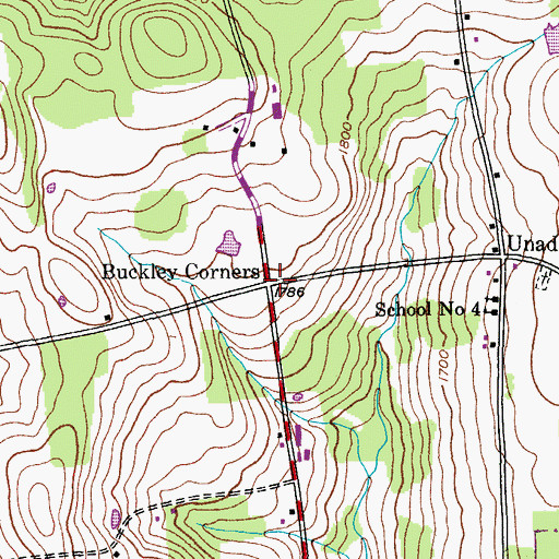 Topographic Map of Buckley Corners, NY