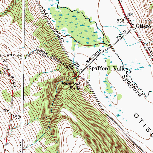 Topographic Map of Bucktail Falls, NY