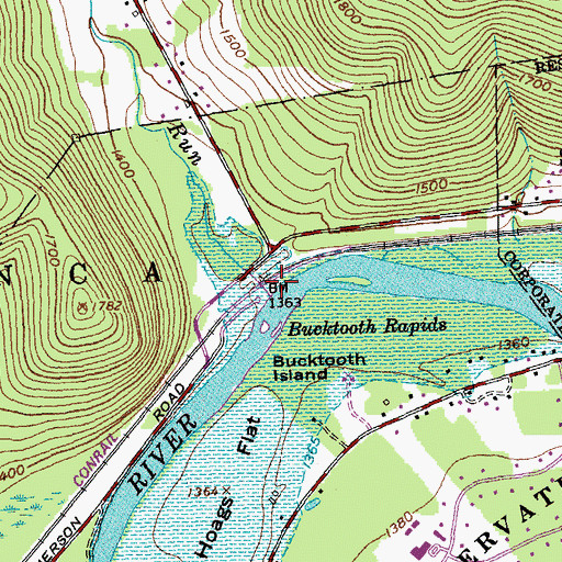 Topographic Map of Bucktooth Run, NY