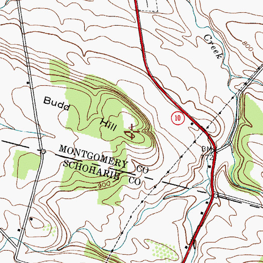 Topographic Map of Budd Hill, NY