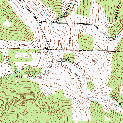 Topographic Map of Bulkley Brook, NY