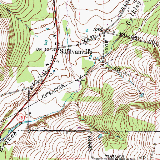 Topographic Map of Bulkley Creek, NY