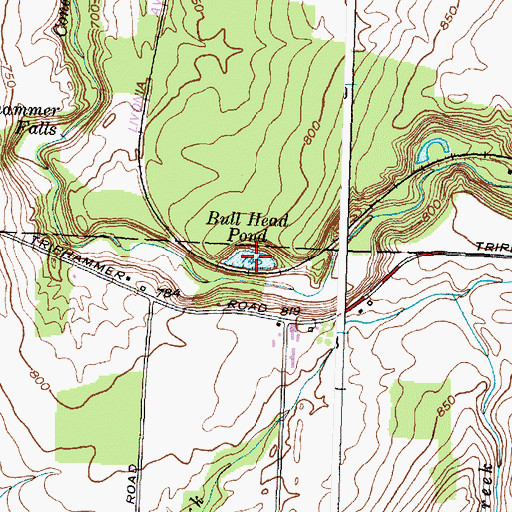 Topographic Map of Bull Head Pond, NY