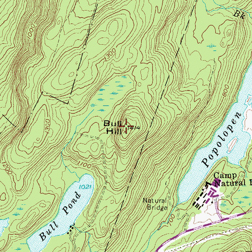 Topographic Map of Bull Hill, NY
