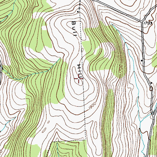 Topographic Map of Bull Hill, NY